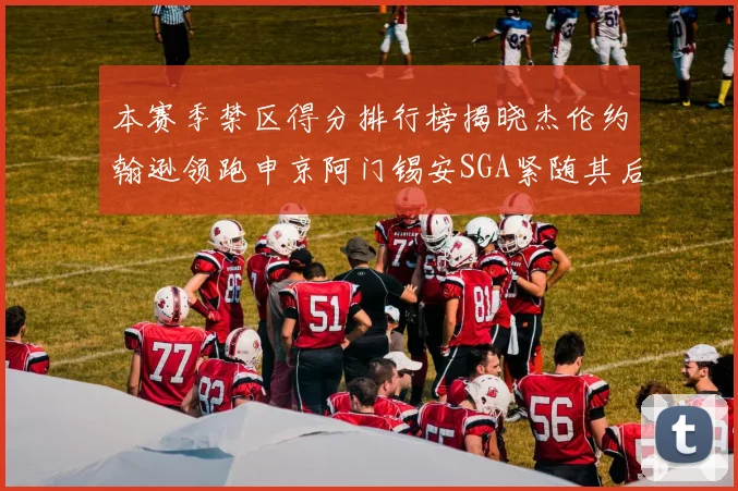 本赛季禁区得分排行榜揭晓杰伦约翰逊领跑申京阿门锡安SGA紧随其后
