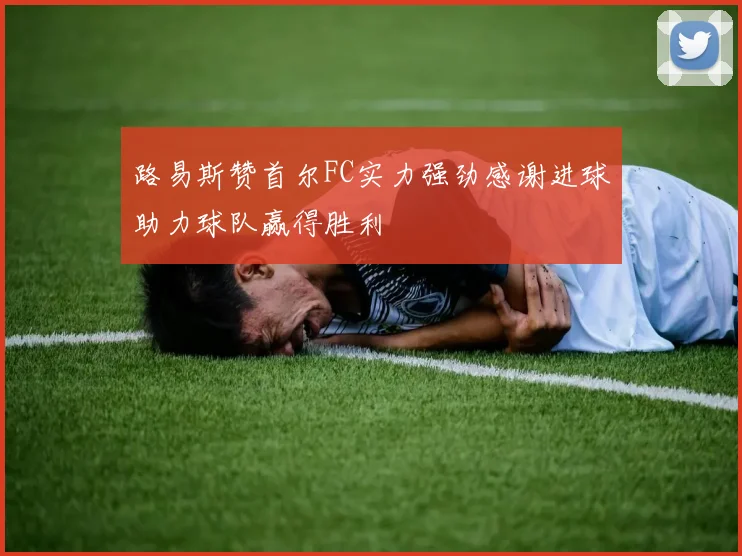 路易斯赞首尔FC实力强劲感谢进球助力球队赢得胜利