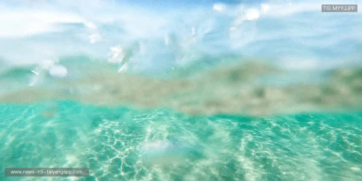 💻多屏同步,随时畅看!⚾️ 体育直播,让热爱无缝衔接!